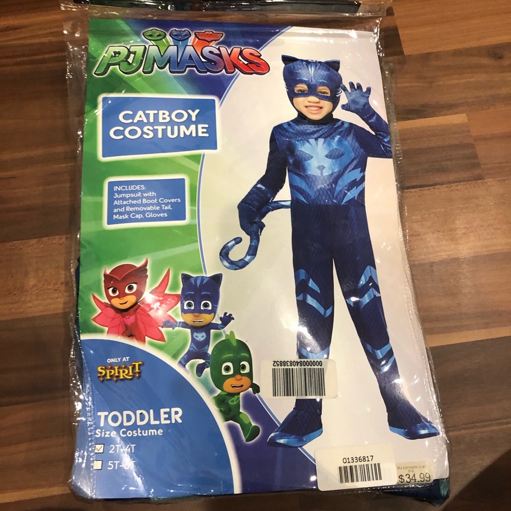 COPY - Pj masks cat boy costume